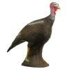 3D Debout Dinde