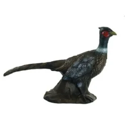 3D Faisan Coq
