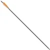 Carbon Flèche 30" (76 Cm)