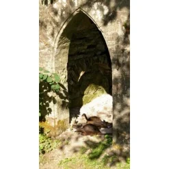 Le Rat Musqué 3D 9 Le Rat Musqué 3D -Tir à l'arc Soldes 2023 le rat musque 3d 4