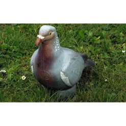 Pigeon 3D NF